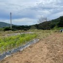 보리네숲어린이집 이미지