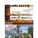 디앤디파트먼트 제주 <b>제주</b> 롱라이프 상점&카페 : <b>디앤디파트먼트</b>