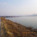 달천제방길 이미지