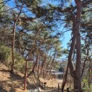 용궁사주차장 이미지