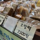 양양 | 양양 5일장 전통시장 먹거리 베이커리빵집 코코양양 내돈내산 후기