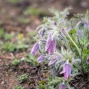 싸울아이 이미지