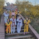 용인대용진태권도체육관