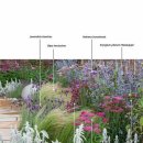 갈대정원 이미지