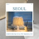 더메종호텔 | 동대문역 호텔 서울 1인 숙소 추천 DDP 5분 서울감성숙소 후기