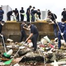 해안물양장 이미지