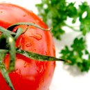 장바탕 Daum카페