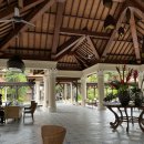 파드마투어 이미지