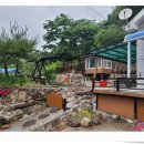 삼가리 160 이미지