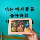 살롱드마카롱