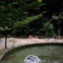 해찬민박 | 법흥계곡 도마니민박(&#39;13.7.20~21)