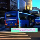 지산목련약국 이미지