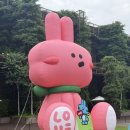 백화가든 | 청주 현대백화점 충청점 아이와 즐길거리 쁘띠가든 오리배 워터덕 이용 후기