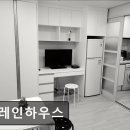 브레인고시텔