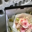 엠알렌트카여행사 이미지