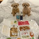 강릉육사시미 | 강릉꼬막집 독도네 포장 후기 꼬막무침&amp;육사시미 세트