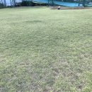 탄금골프클럽 이미지