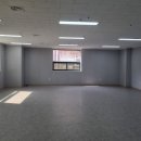 상남동163 이미지