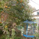 나루터가든 이미지