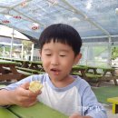 배다골민속박물관 | 배다골테마파크 가족여행으로 딱좋아(꿀고구마축제도 꿀잼)