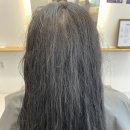 리블룸헤어 | 목동동 미용실 리블룸헤어 후기