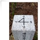 서구-01-36 Daum카페