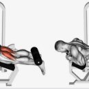 짐모토(GYM MOTO) 이미지