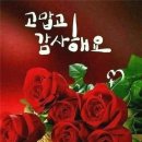 황금바다 이미지