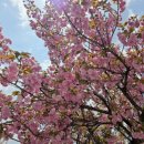 미사경정공원 이미지