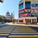 오일카프라자 | 광교 브런치 맛집 카페메이븐 광교 후기｜광교 카페 추천