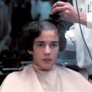 베니실제 이미지