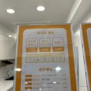 하이쫀쫀드기
