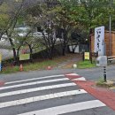 진밭1교 이미지