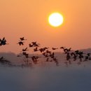 가을노을B 이미지