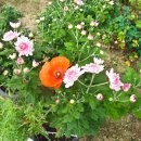 철새보러가는길 이미지