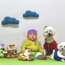 홍그루밍 이미지