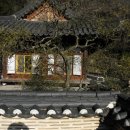 [장성] 백양사(白羊寺) 천진암(天眞庵) 이미지