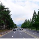 사림동254 이미지