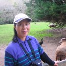 [파라다이스 벨리] 이미지