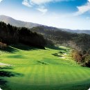 웰리힐리파크 관광단지 이미지