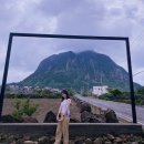 영희목장 이미지