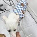 깍쟁이미용실 | 사당역 남현동미용실 블랑코헤어 레이어드컷 후기