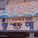 청해복어 이미지