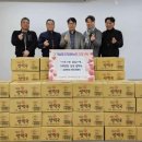 에버그린 이미지