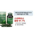 스피나월드