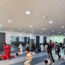 정도태권도체육관 이미지