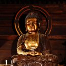 선광사 - 서귀포시 | 선광사