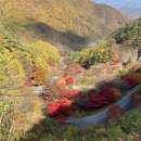 지에스(GS)25 단양영춘점 이미지