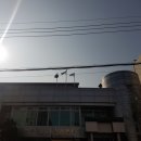장안1동주민센터 이미지