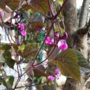 배산부동산공인중개사사무소 이미지